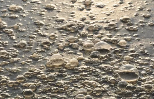 foto cc hyppopx.com