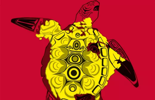 Boekcover van 'Voorbij Winnetou en Pocahontas'.