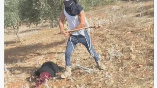 Een kolonist slaat een boerin neer die olijven aan het oogsten was. Voor de video klik op https://x.com/MaxBlumenthal/status/1979954343886692689 