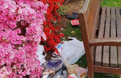 Een niet gehandhaafd bankje in het arboretum van het Antwerpse Rivierenhof.