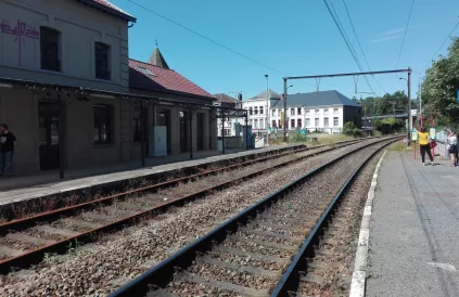 Station Thuin. De NMBS desinvesteert onder meer op de lijn Charleroi-Erquelinnes. Eén spoor al buiten gebruik (zie het onkruid), bovenleiding verwijderd. Foto: LV