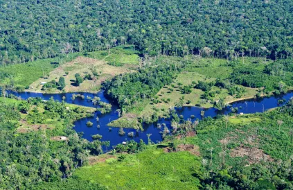 Het regenwoud van de Amazone in de Braziliaanse deelstaat Amazonas. Foto: Palmer / CIAT / CC BY-NC-ND 2:0