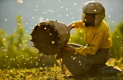 Honeyland