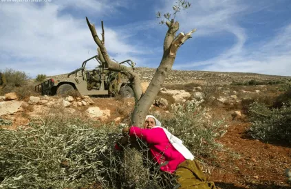 Een Palestijnse boerin klampt zich vast aan de laatste olijfboom nadat het Ieger hun boomgaard heeft vernield. Foto: Frank M. Rafik/intifada.de/CC BY-SA 2:0
