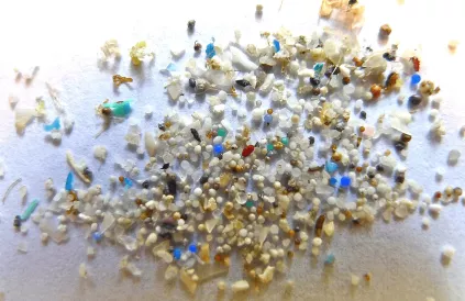 Microplastics zijn zo klein dat we ze onbewust en op allerlei verschillende manieren binnenkrijgen. Foto: Oregon State University/ CC BY-SA 2.0
