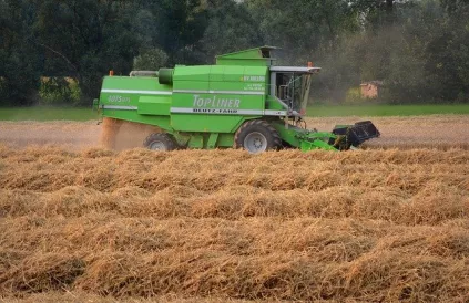 Afbeelding van Ben Kerckx via Pixabay 