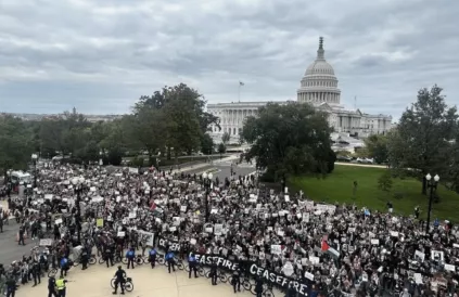 Manifestatie voor het Capitool in Washington DC. Foto: The Wire