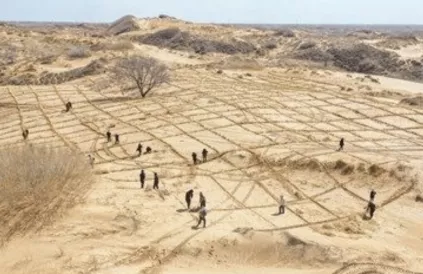 Zaailingen van bomen planten in Binnen-Mongolië. Foto Xinhua/Lian Zhen. More information about the rights of this work, see disclaimer below article.