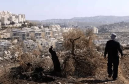 Elias Mariyah kijkt vanaf zijn verkoolde land uit over de nederzetting Har Homa, die binnen de gemeentegrenzen van Jeruzalem ligt. Foto: Faiz Abu Rmeleh, B’Tselem.
