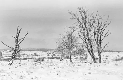 Foto: han Soete (archief)