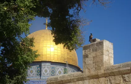 Rotskoepel op de Haram al-Sjarief, Al Quds/Jeruzalem. Foto: LDB
