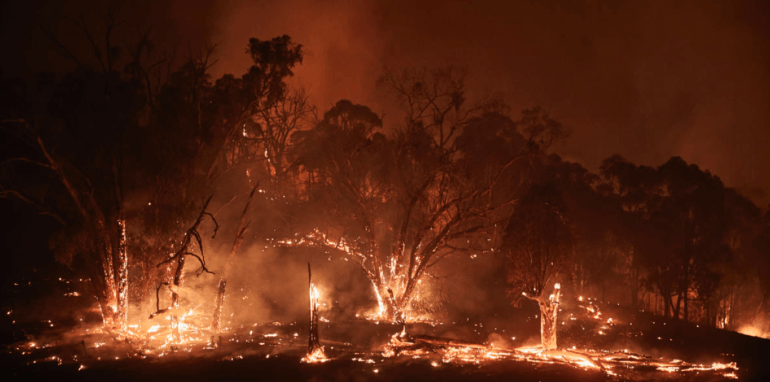 Bosbranden in New South Wales op 11 januari 2020.