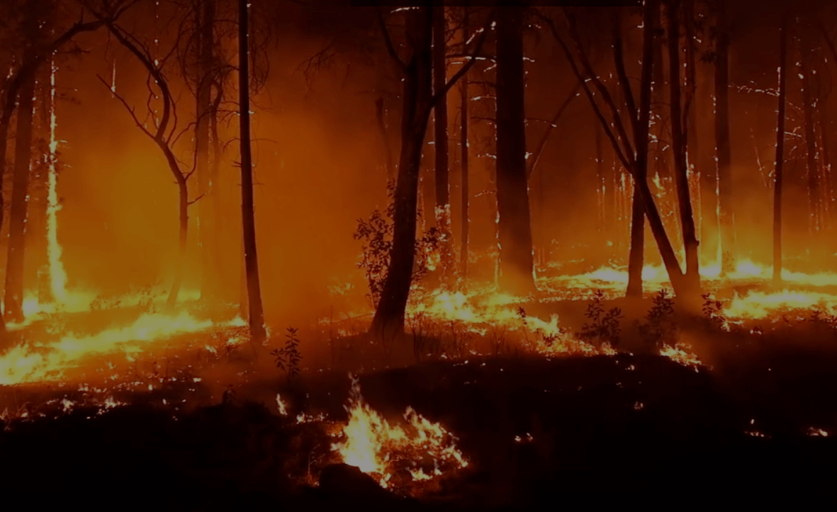 Bosbranden in Australië.