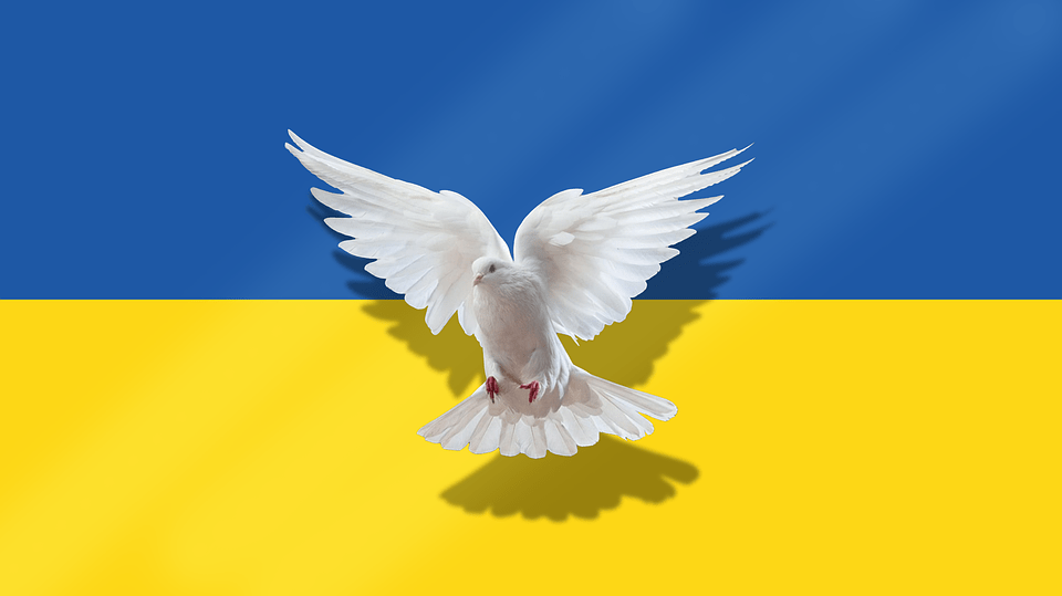 Oekraïne duif