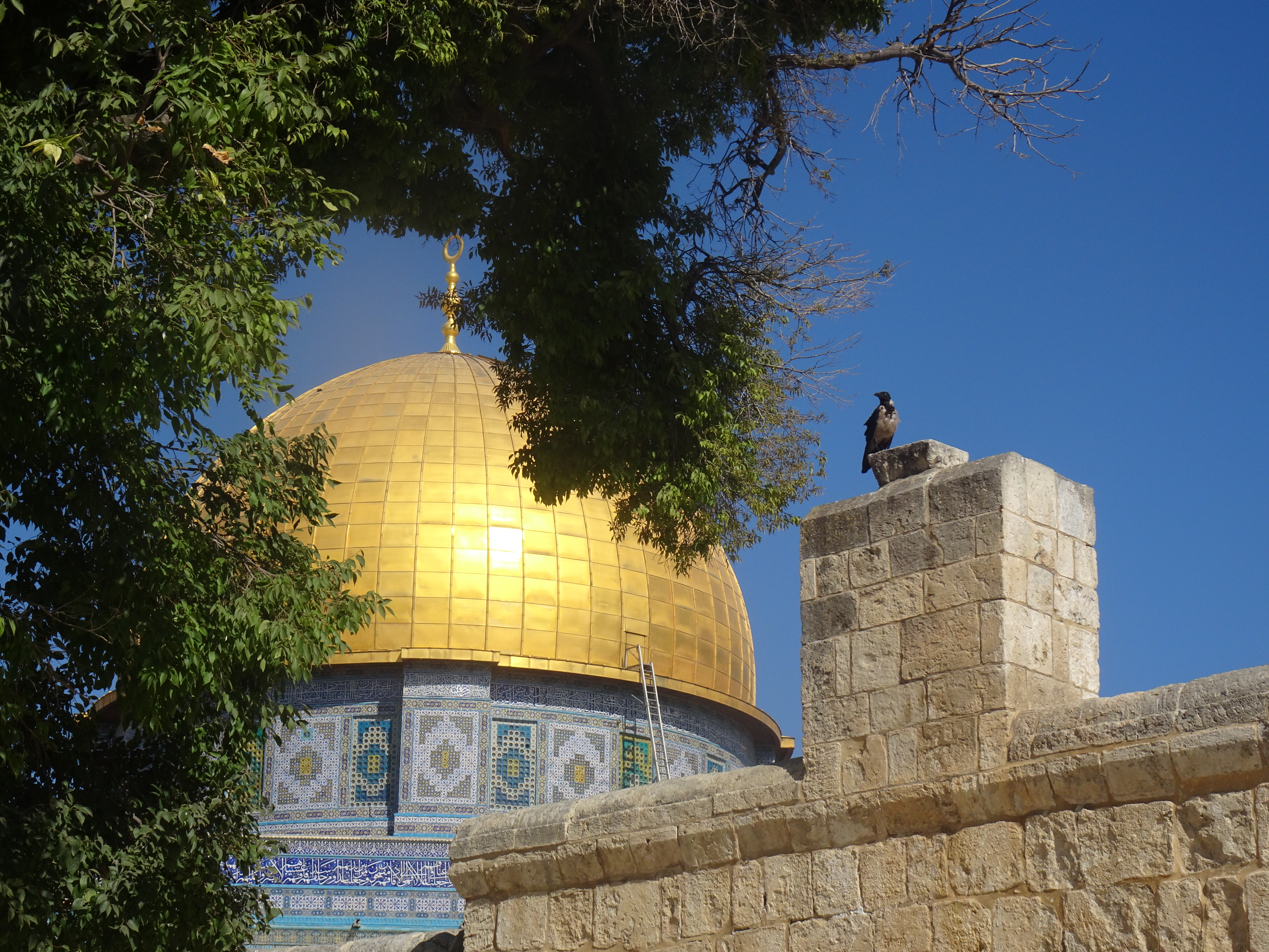 Rotskoepel op de Haram al-Sjarief, Al Quds/Jeruzalem.
